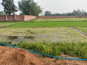 330 Katha Land Sale at Saidpur