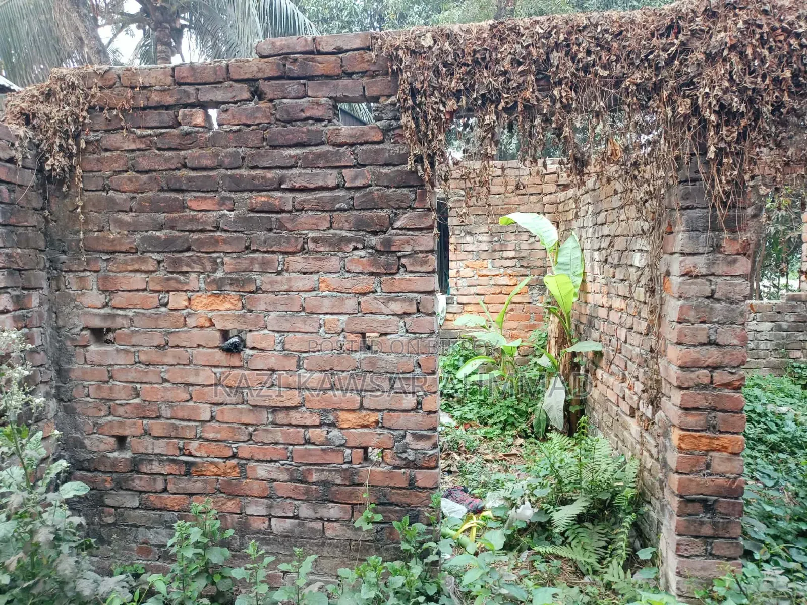 In Rajar Ghat Khatrapada, Savar Fulbaria