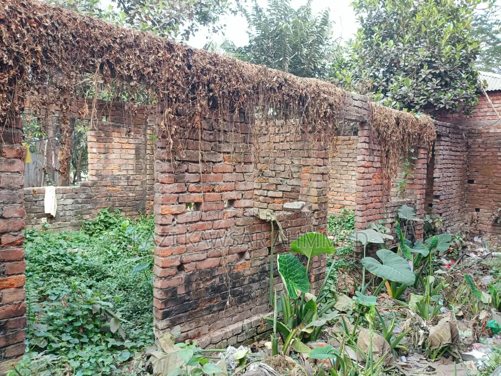 In Rajar Ghat Khatrapada, Savar Fulbaria