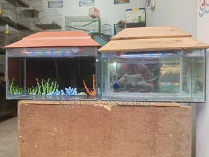 Aquarium Full Set