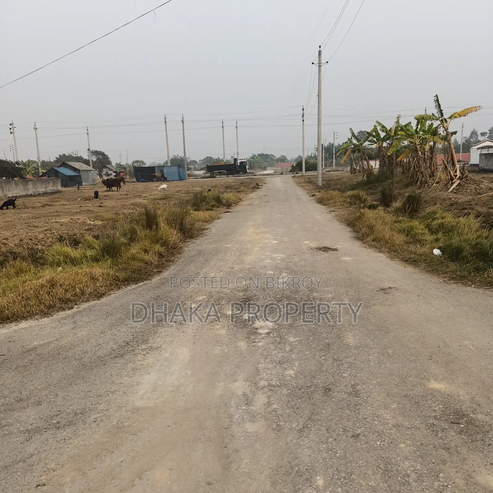 30ft Road 3 Katha Park East at Sector-9