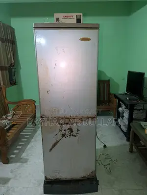 সিঙ্গেল রেফ্রিজারেটর ২৬১ লিটার