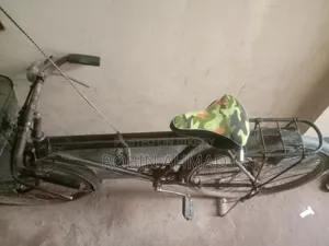 Will sell a Phoenix bicycle