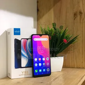 নতুন ভিভো ওয়াই৯৩ ১২৮ জিবি