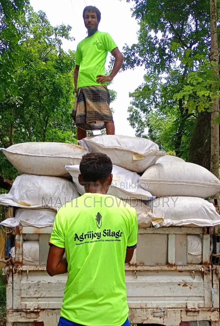 ভূট্রার পিট সাইলেজ (এগ্রিজয় সাইলেজ)