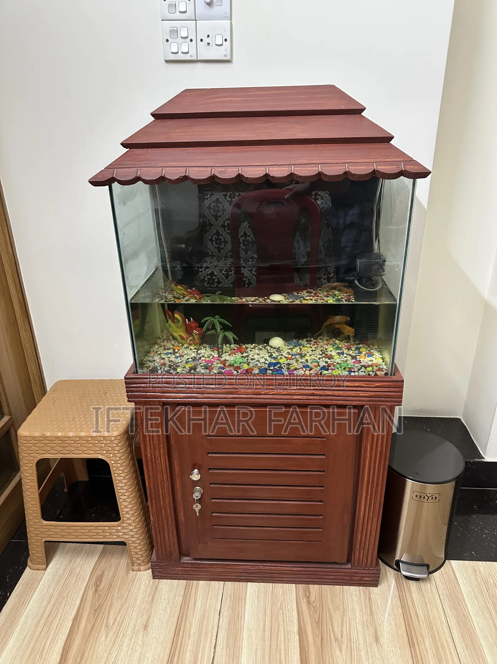 Fish Aquarium