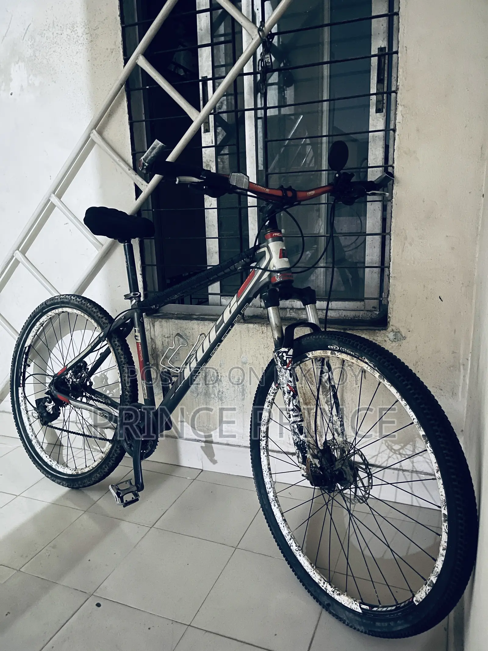 29 Big Size Core Project 29 Size Cycle