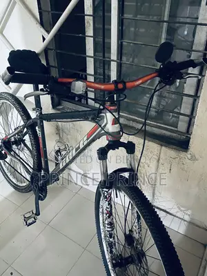 29 Big Size Core Project 29 Size Cycle