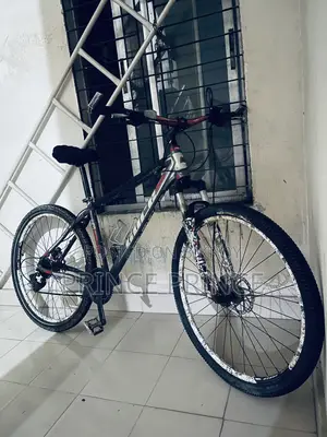 29 Big Size Core Project 29 Size Cycle