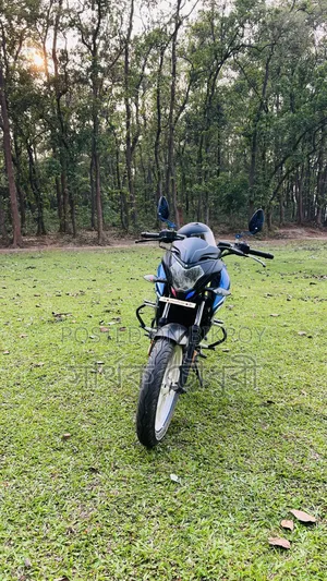 Bajaj Pulsar NS 160 2021 Blue