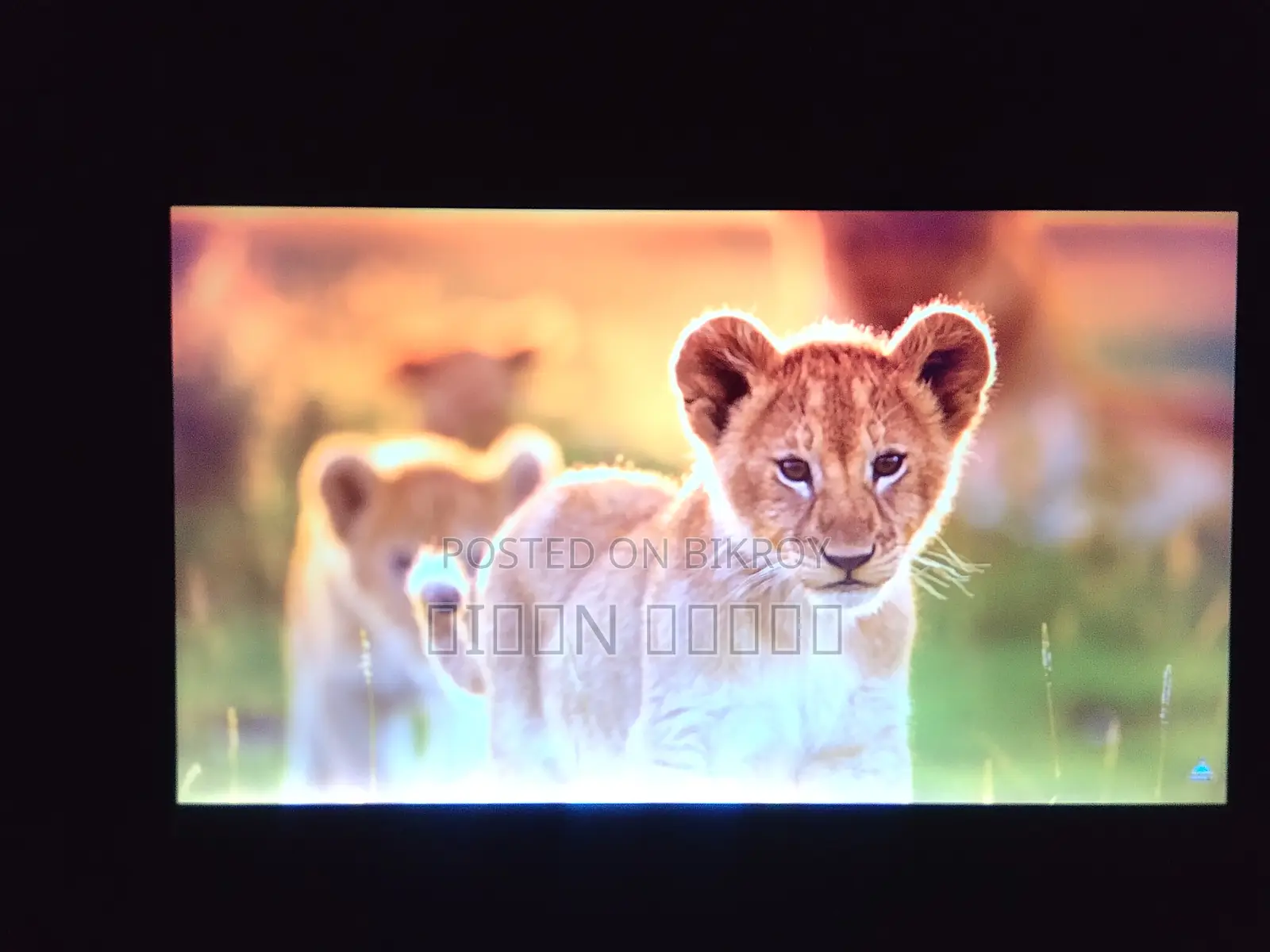 Laptop HP ProBook 640 G1 4GB Intel Core I5 HDD 500GB
