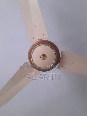 সিটি সেলিং ফ্যান