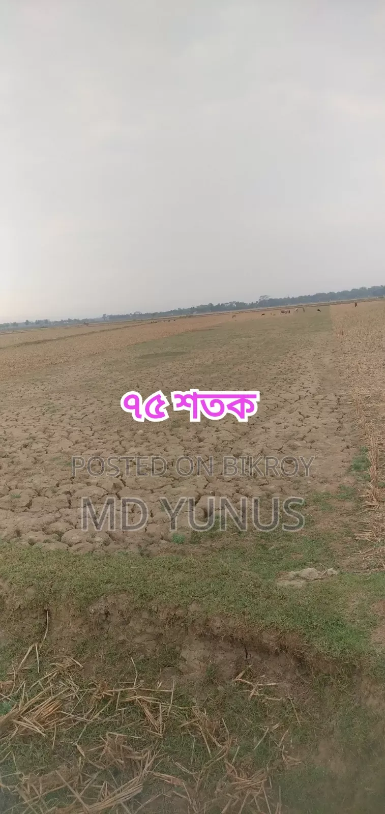 175 decimal land for sale