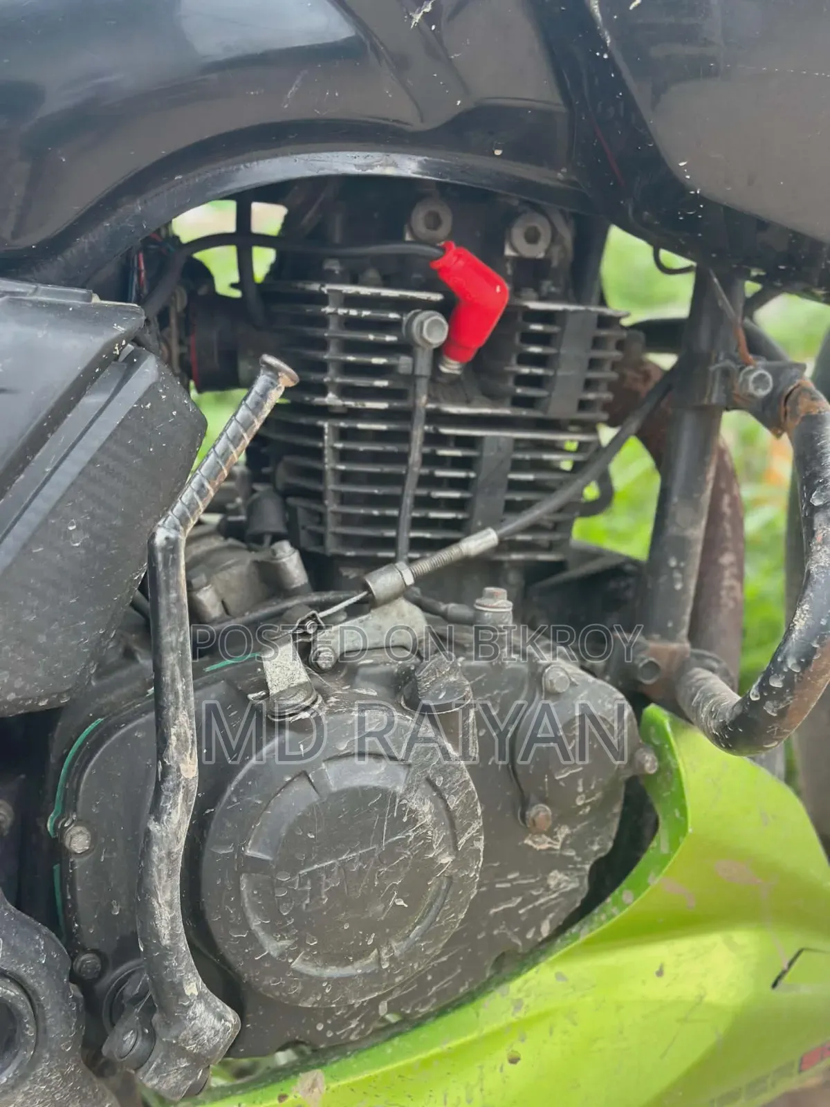 TVS 2019 Blue