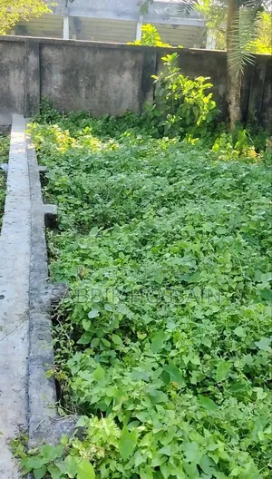 4 Katha ready residential plot for sale in Terakhadia Uttarpara, Rajshahi!