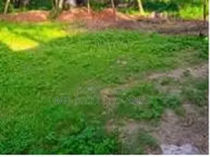 20 decimal land for sale with government road access