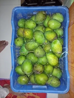 আম হাড়িভাঙ্গা