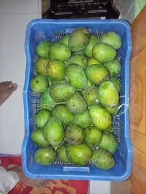 আম হাড়িভাঙ্গা