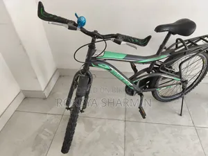 Phoenix ব্রান্ডের মাঝারি সাইজের ব্যবহৃত বাইসাইকেল