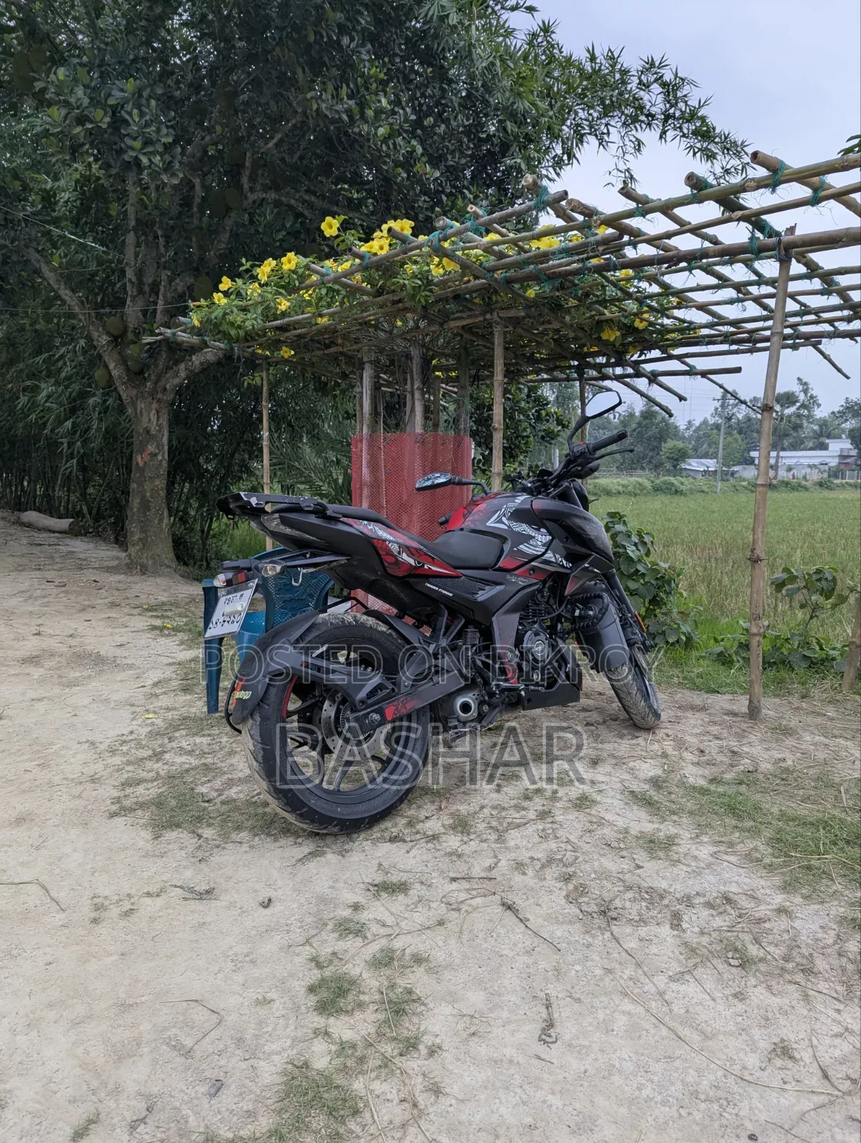 Bajaj Pulsar N160 2024 Black