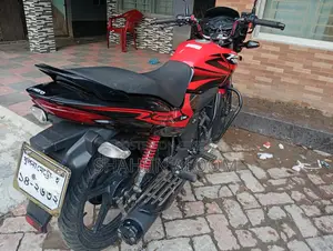 নতুন হিরো প্যাশন প্রো ২০২২ লাল