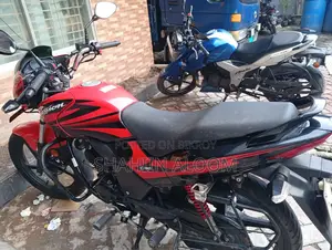 নতুন হিরো প্যাশন প্রো ২০২২ লাল