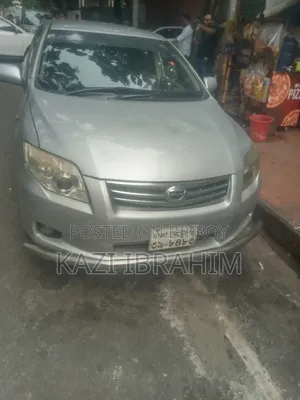 Toyota Axio 2010 Silver