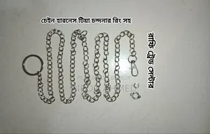 পাখির জন্য চেইন হারনেস উইথ লেগ রিং
