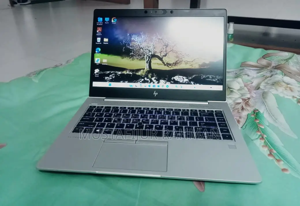 Laptop HP EliteBook 745 G6 8GB AMD Ryzen 5 SSD 256GB