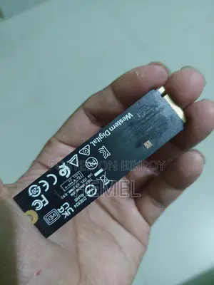 ওয়েস্টার্ন ডিজিটাল এসএন৫০০০এস ৫১২জিবি জেন ৪ এসএসডি
