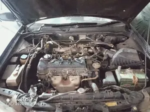 Nissan Sunny 2005 Black