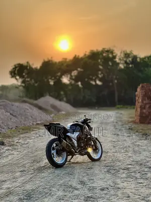 Akrapovic Exhaust