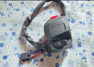 Yamaha FZS V2 Right Handel Original Switch