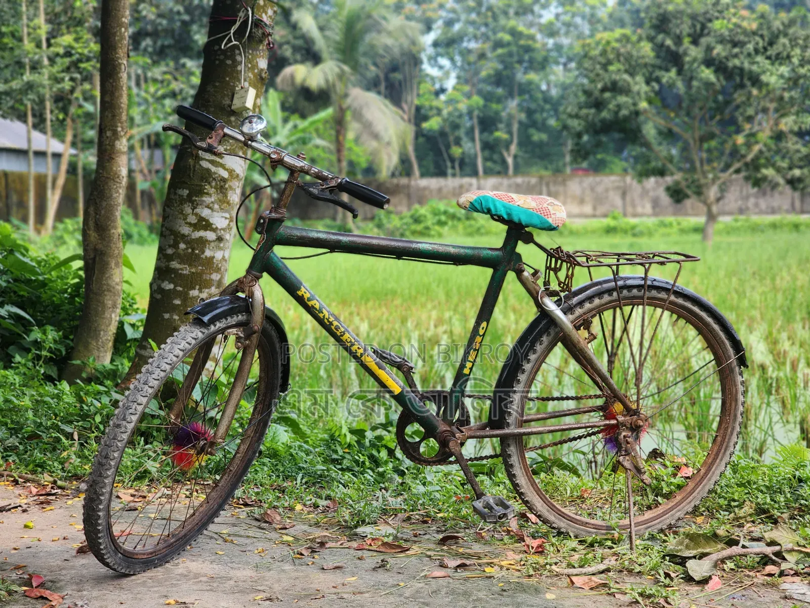 Ranger Max Cycle