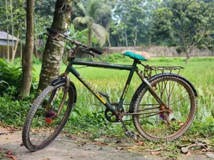 Ranger Max Cycle