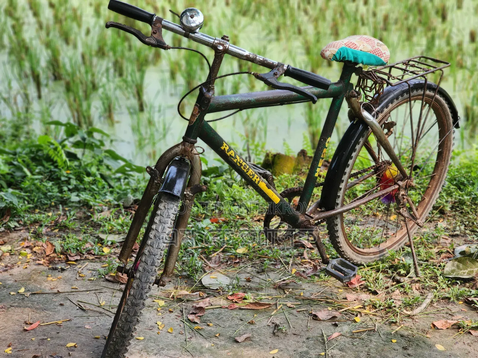Ranger Max Cycle