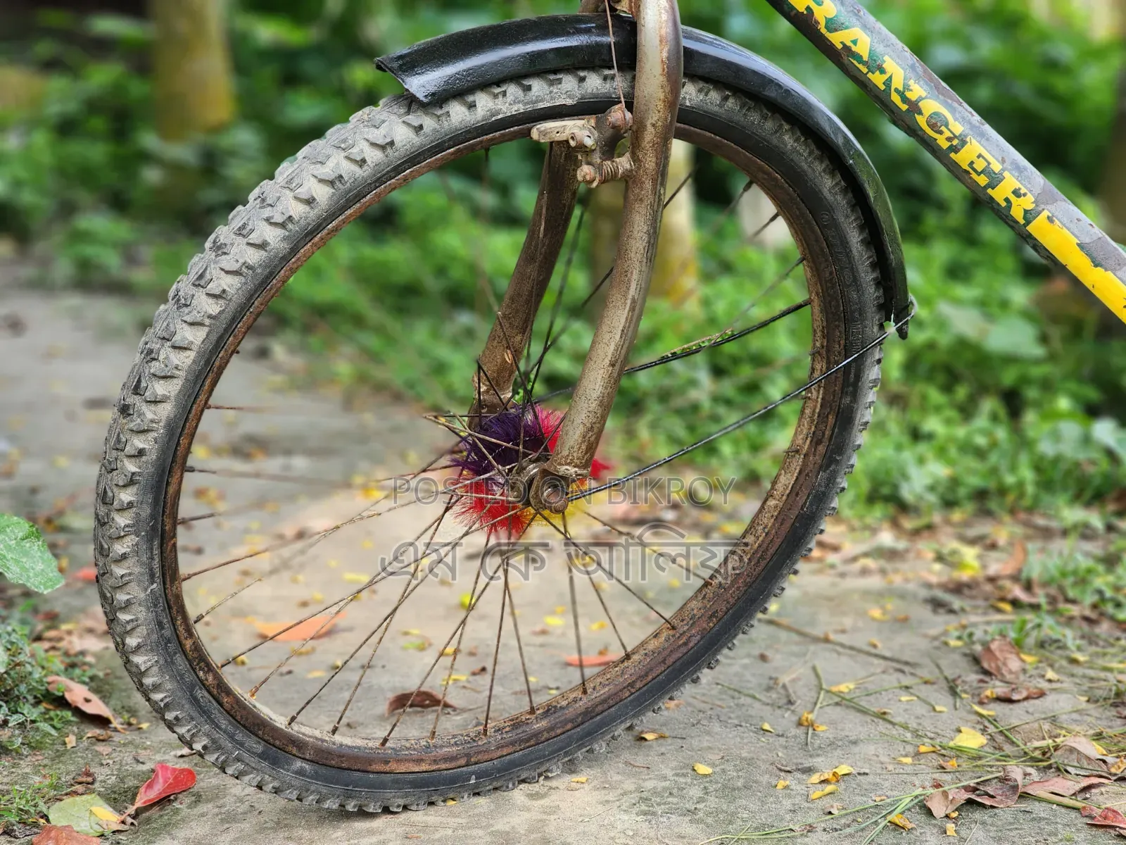 Ranger Max Cycle