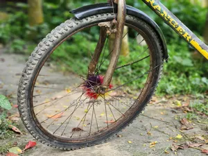 Ranger Max Cycle