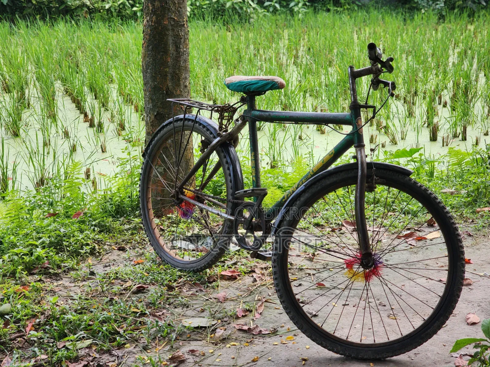 Ranger Max Cycle