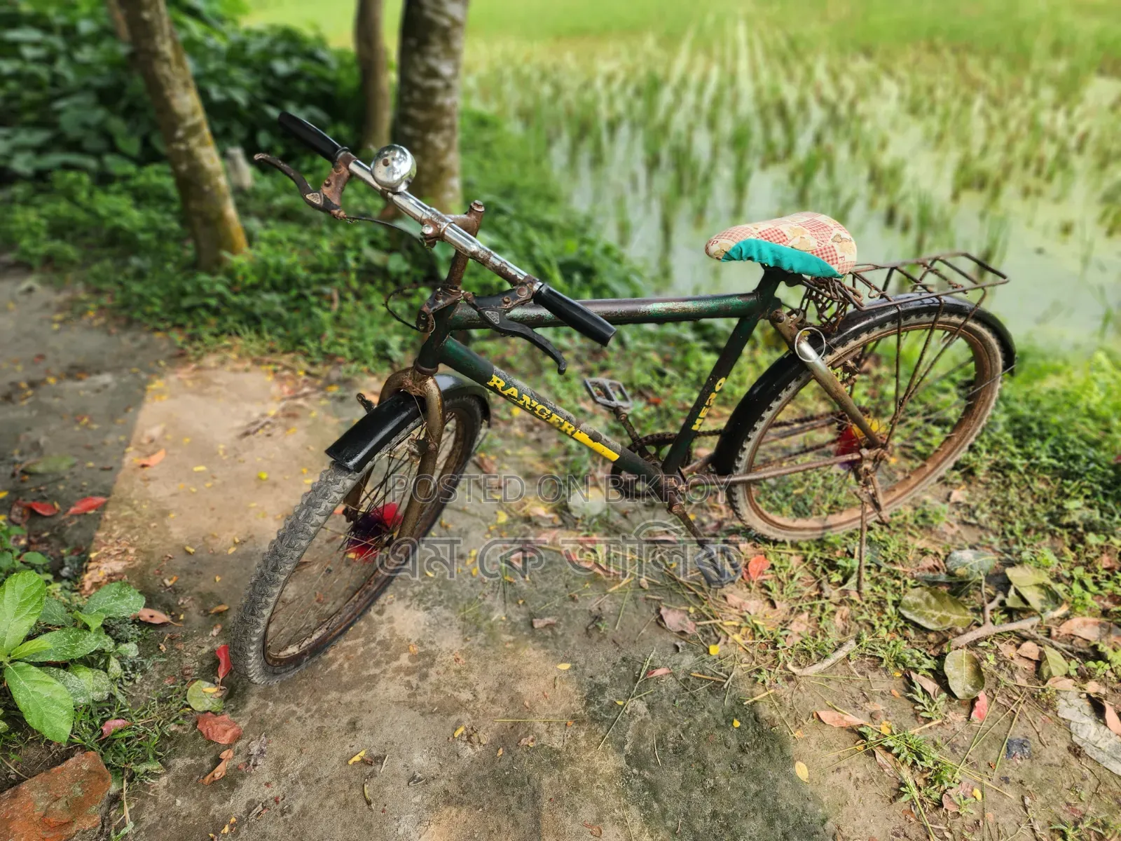 Ranger Max Cycle