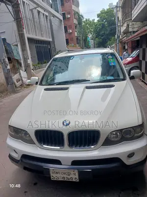 BMW X5 4.8 IS Sports Activity 2004 Pearl