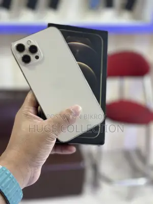 অ্যাপল আইফোন ১২ প্রো ম্যাক্স ২৫৬ জিবি গোল্ড