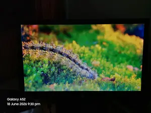 Hp Monitors