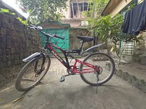 Bicycle for sale
