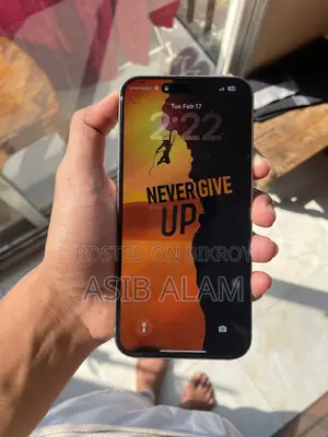 Apple iPhone 15 Pro Max 256 GB