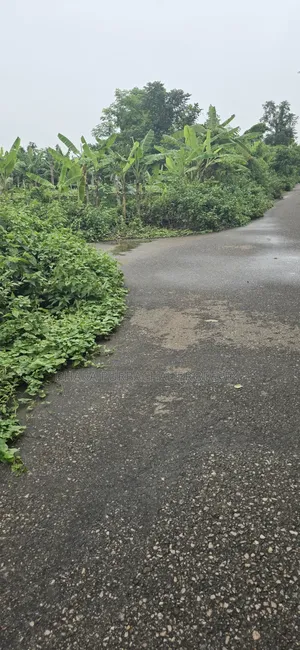 রাজউক পূর্বাচল সেক্টর- ৭দক্ষিণ-পশ্চিম মুখী ৫ কাঠা প্লট বিক্রি