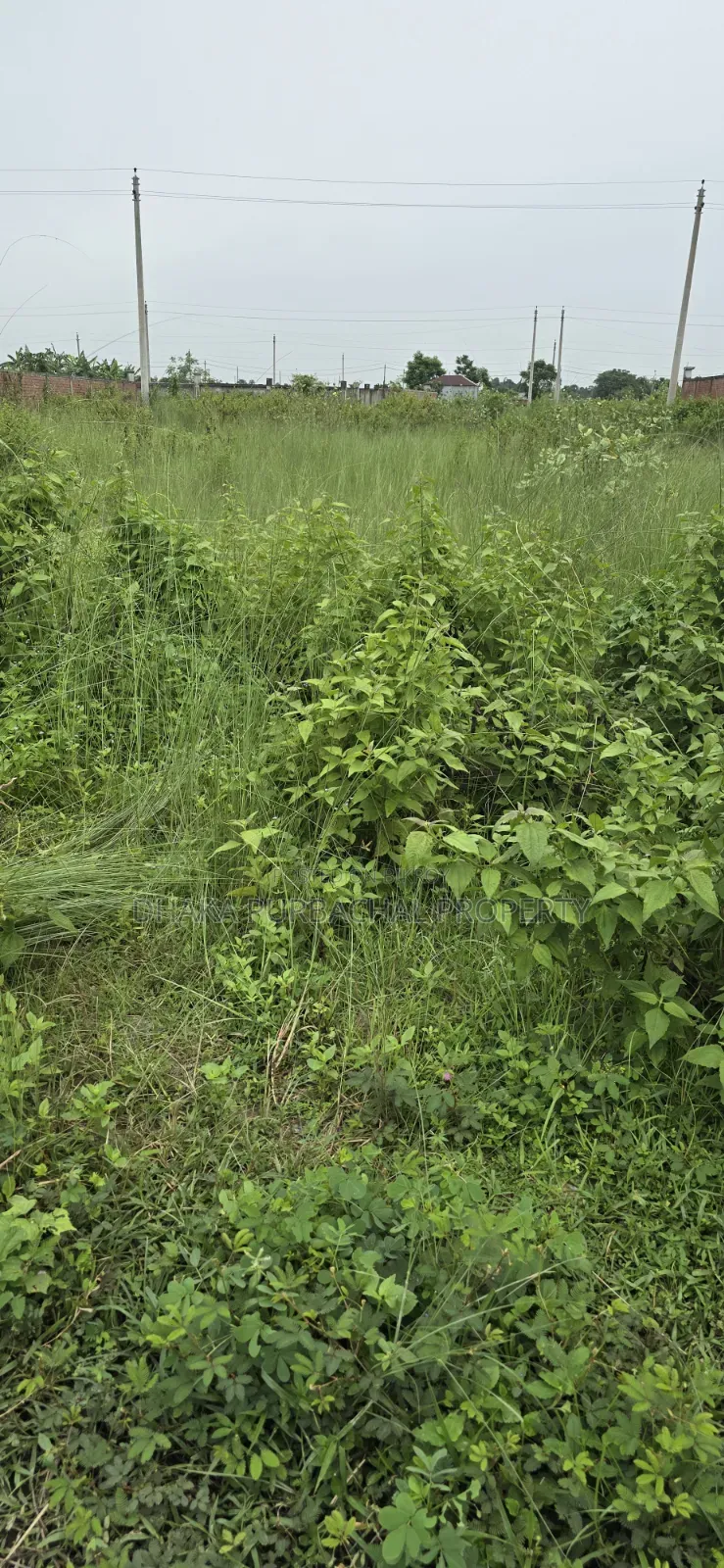 Sector-15, Road-403, Corner 5 Katha Plot for Sale