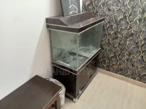 Aquarium
