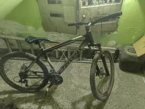 Phoenix Cortex 24" Frame: Alloy Wheel Size: 24"