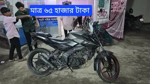 Bajaj Pulsar NS 160 2017 Gray
